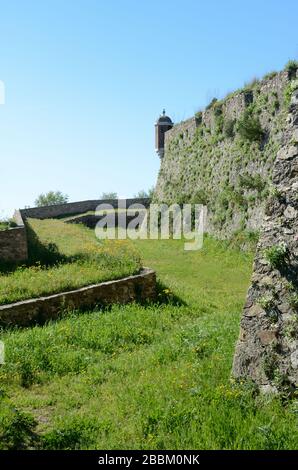 Zitadelle von Saint Tropez oder Schloss & Moat Var Côte d'Azur Frankreich Stockfoto