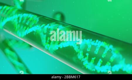 3D-Abbildung DNA-Molekül, seine Struktur. Konzept des menschlichen Genoms. DNA-Molekül mit modifizierten Genen. Konzeptionelle Abbildung eines dna-Moleküls im Inneren Stockfoto