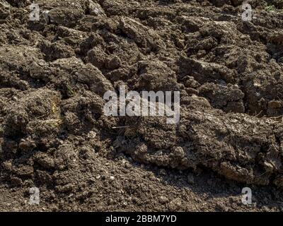 Frisch gepflügt im Frühjahr, Bayern, Deutschland, Europa Stockfoto