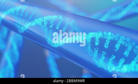 3D-Abbildung DNA-Molekül, seine Struktur. Konzept des menschlichen Genoms. DNA-Molekül mit modifizierten Genen. Konzeptionelle Abbildung eines dna-Moleküls im Inneren Stockfoto