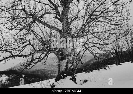 Wyzna Pass im Bieszczady Gebirge in Polen Stockfoto