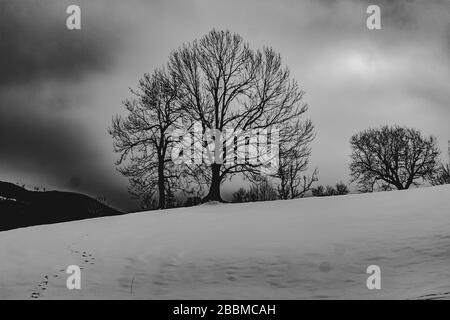 Wyzna Pass im Bieszczady Gebirge in Polen Stockfoto