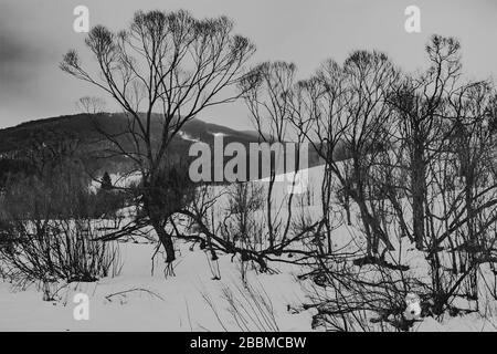 Wyzna Pass im Bieszczady Gebirge in Polen Stockfoto