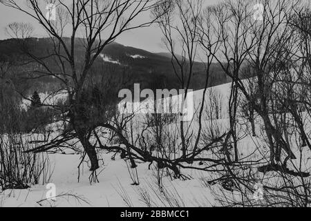 Wyzna Pass im Bieszczady Gebirge in Polen Stockfoto