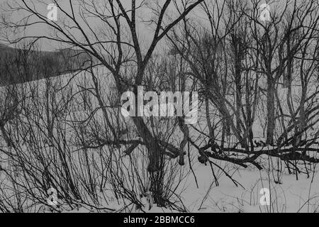 Wyzna Pass im Bieszczady Gebirge in Polen Stockfoto