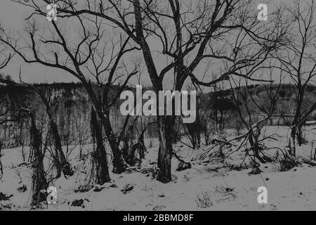 Zatwarnica im Bieszczady Gebirge in Polen Stockfoto