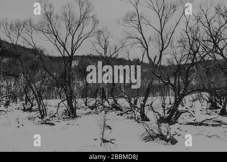 Zatwarnica im Bieszczady Gebirge in Polen Stockfoto