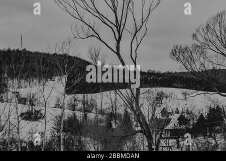 Zatwarnica im Bieszczady Gebirge in Polen Stockfoto