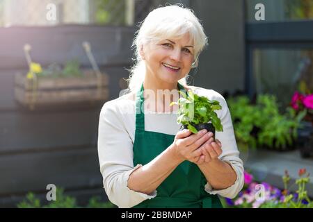 Seniorin, die im Blumengeschäft arbeitet Stockfoto