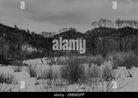 Zatwarnica im Bieszczady Gebirge in Polen Stockfoto