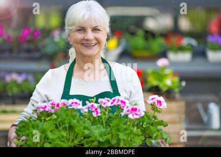 Seniorin, die im Blumengeschäft arbeitet Stockfoto