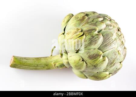 Artischocke isoliert auf weißem Hintergrund Stockfoto