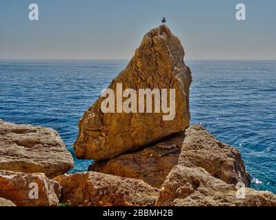 Eine Möwe, die sich auf einem Felsen am Meer in Calpe, einem Ferienort an der Costa Blanca in Spanien, ausruht. Stockfoto