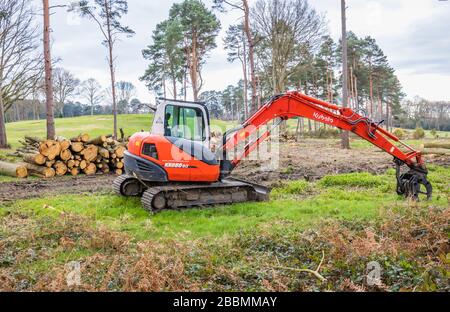 KUBOTA KX080-3 Mini-Digger, gummigeführter midi-Bagger, der für Baumfällung und Holzeinschlag verwendet wird, Surrey, Südostengland Stockfoto