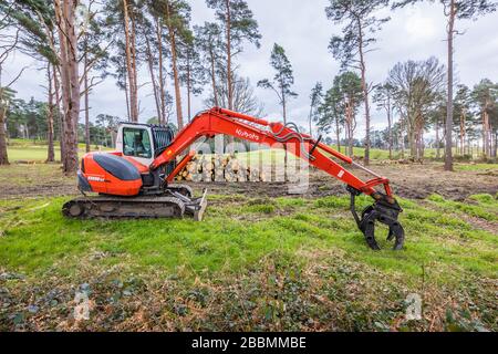 KUBOTA KX080-3 Mini-Digger, gummigeführter midi-Bagger, der für Baumfällung und Holzeinschlag verwendet wird, Surrey, Südostengland Stockfoto