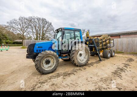 Großer blauer finnischer Traktor Valtra 6550 mit Kabine und 4 großen, müden Rädern, mit einem Anhänger voller felliger Kiefernstämme, Surrey, Südostengland Stockfoto