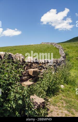 Trockenmauern im Peak District National Park, England Stockfoto