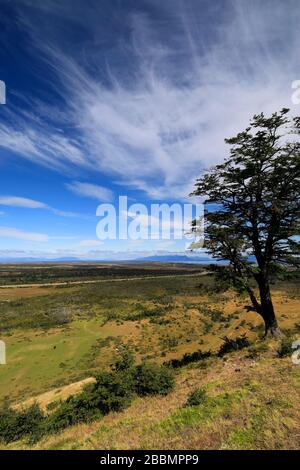 Blick auf Mirador Cerro Dorotea, Puerto Natales Stadt Patagonien, Chile, Südamerika eine leichte halbtägige Wanderung zu einem Felsvorsprung mit Blick auf Puerto Natal Stockfoto