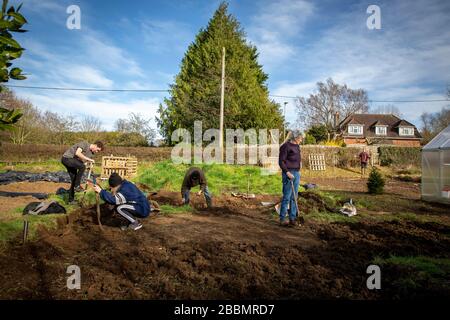 Arbeiten an einer neuen Zuteilung, um ihre eigene Nahrung zu wachsen und gesund zu bleiben Stockfoto