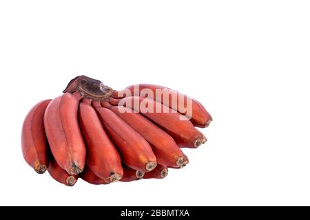 Frische rote Banane isoliert auf weißem Hintergrund. Gruppe von Bananenarten mit rötlich-violetter Haut. Stockfoto