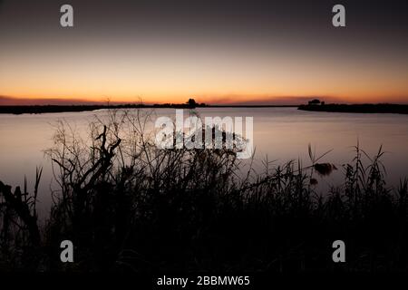 Stille Szene am Chobe River nach Sonnenuntergang Stockfoto