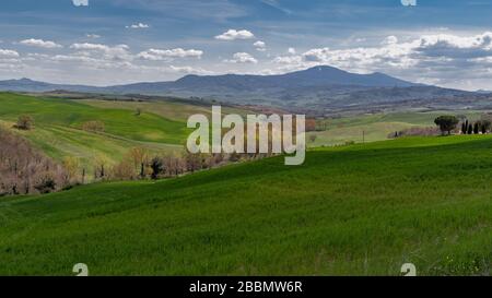 Typisches Landschaftsbild aus der Toskana Italien mit bunten Feldern im Frühjahr Stockfoto