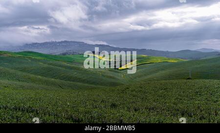 Typisches Landschaftsbild aus der Toskana Italien mit bunten Feldern im Frühjahr Stockfoto