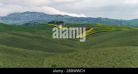 Typisches Landschaftsbild aus der Toskana Italien mit bunten Feldern im Frühjahr Stockfoto