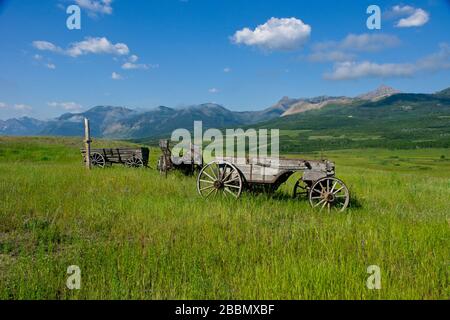 Alte Wagen im Süden Albertas in Kanada Stockfoto