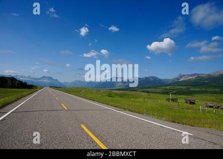 Straße im Süden Albertas in Kanada Stockfoto