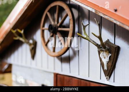 Holzschuppen oder Hütte mit Geweih und Karre Radschmuck über Türen. Trophäe vom Hirschschädel mit Geweih. Landfarm Stockfoto