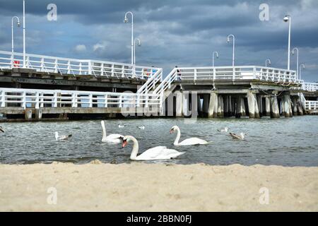 Sopot Strand und Pier 'Molo' in Polen Stockfoto