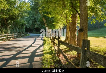 Morgensonnenlicht wirft Schatten auf eine Straße im Wyomising Park in Reading, PA Stockfoto