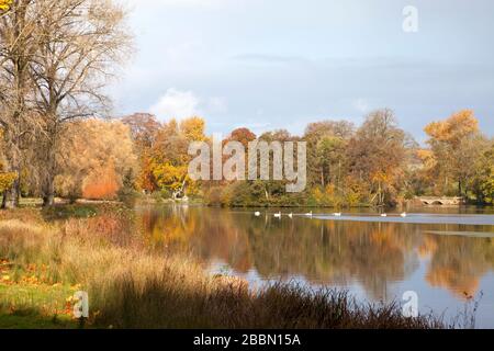 Der See bei Fonthill Bishop, in der Nähe von Tisbury in Wiltshire. Stockfoto