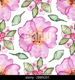 Farbenfrohes, florales Muster mit handgezeichneter Wasserfarbe und Rosettenblumen auf weißem Hintergrund. Abbildung des Lagerbestands Stockfoto