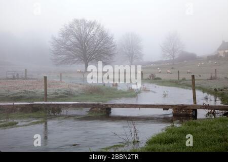 Eine Fußgängerbrücke am Fluss Ebble im Dorf Fifield Bavant in Wiltshire. Stockfoto