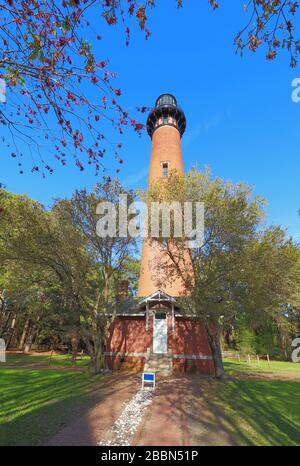 Die rote Ziegelsteinstruktur des Currituck Beach Lighthouse ragt über ein kleines Einsteigerhaus und Kiefern im Currituck Heritage Park in der Nähe von Corolla, N Stockfoto