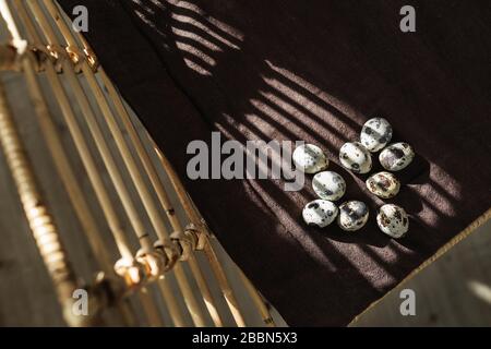 Mehrere Wachteleier auf dunklem Hintergrund mit wunderschönem natürlichem Sonnenschein. Osterkonzept. Stockfoto