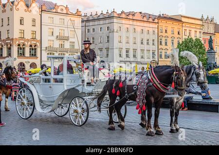 Pferde- und Kutschfahrten für Touristen vor der Marienbasilika auf dem Hauptplatz in Krakow, Polen. Juli 2017. Stockfoto
