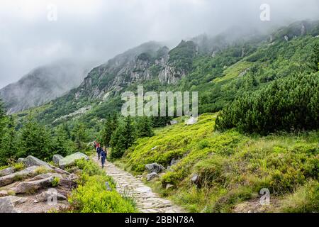 Wanderer auf der Strecke von der Wang-Kirche nach Maly Staw im Karkonosze-Nationalpark, Karpacz, Polen. Juli 2017. Stockfoto