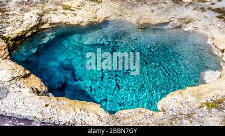 Das türkisfarbene Wasser einer heißen Quelle im oberen Geyser-Becken entlang des Continental Divide Trail im Yellowstone National Park, Wyoming, USA Stockfoto