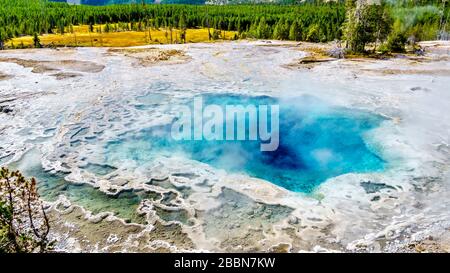 Dampf aus dem türkisfarbenen Wasser der heißen Quelle Artemisia Geyser im oberen Geyser-Becken entlang des Continental Divide Trail in Yellowstone Stockfoto