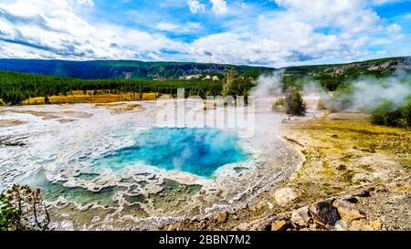 Dampf aus dem türkisfarbenen Wasser der heißen Quelle Artemisia Geyser im oberen Geyser-Becken entlang des Continental Divide Trail in Yellowstone Stockfoto