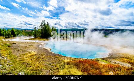 Dampf aus dem türkisfarbenen Wasser des Gem Pool heiße Quelle im oberen Geyser-Becken entlang des Continental Divide Trail im Yellowstone Park Stockfoto