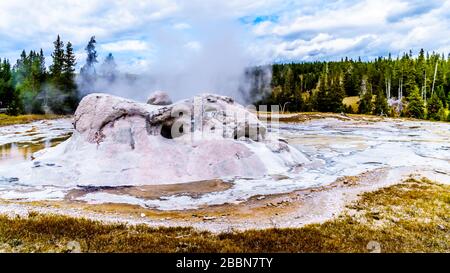 Dampf und Wasser, das von der Grotte Geyser im oberen Geyser-Becken entlang des Continental Divide Trail im Yellowstone National Park, Wyoming, durchsickern kann Stockfoto