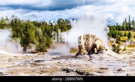 Dampf- und Wasserdampf im oberen Geyser-Becken entlang des Continental Divide Trail im Yellowstone-Nationalpark, Wyoming, Vereinigte Staaten Stockfoto