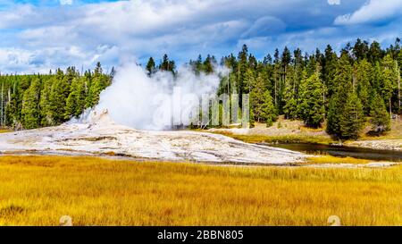 Heißes Wasser aus dem Giant Geyser, das im oberen Geyser-Becken entlang des Continental Divide Trail in Yellowstone in den Firehole River fließt Stockfoto