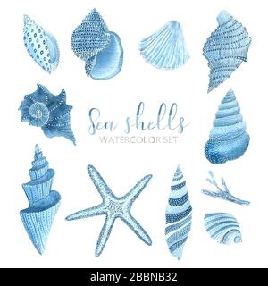 Handgezeichnetes Wasserfarben-Meer mit Schalen. Cartoon-Konzept für Einladungen, Poster, Grußkarten und andere Designs. Stockfoto