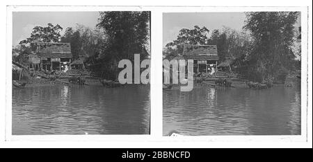 Wasserbüffel, die im Fluss Stung Sangkae in der Provinz Battambang in Kambodscha stehen. Am Flussufer steht ein Cottage mit gebrochenem Dach. Stereoskopisches Foto von etwa 1910. Bild auf trockener Glasplatte aus der Sammlung Herry W. Schaefer. Stockfoto