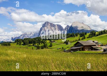 Blick auf die Seiser Alm mit der Gruppo del Sassolungo Mountains im Hintergrund Stockfoto